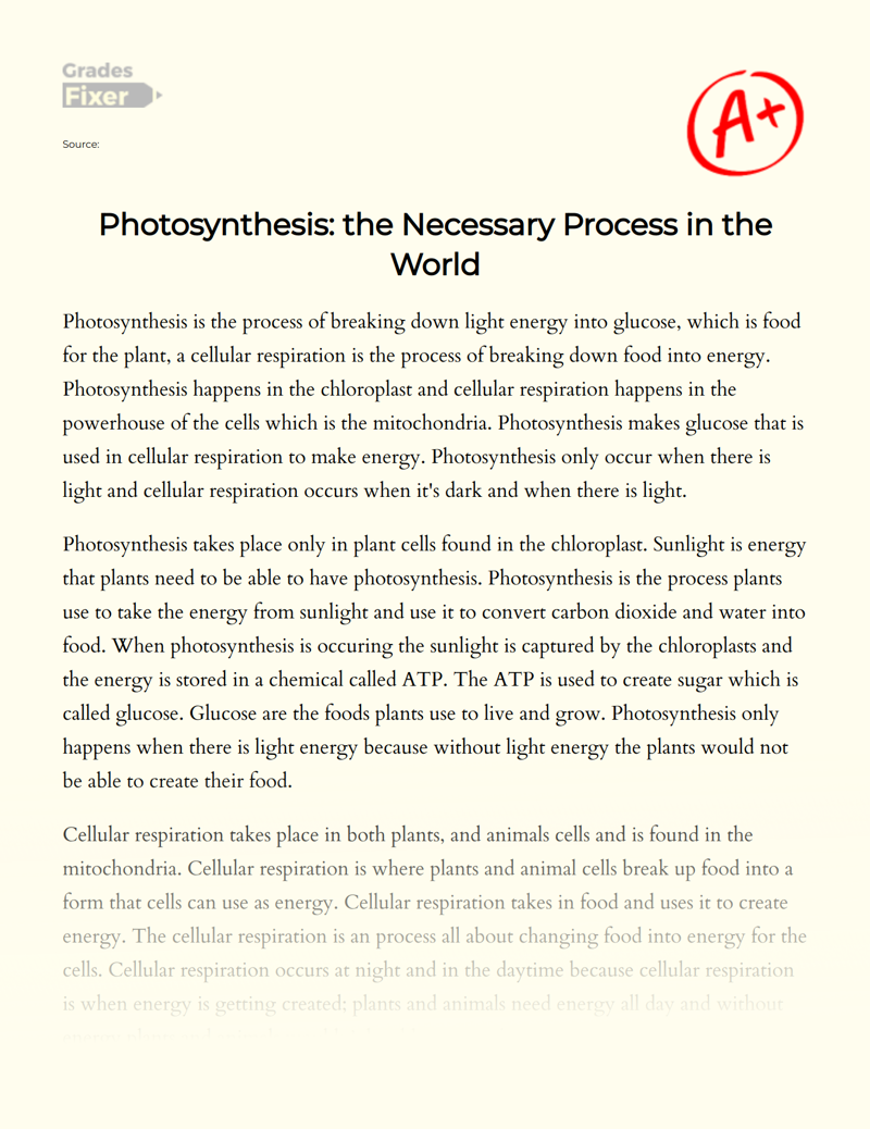 The Negative Impact of Abiotic Pressures on Photosynthesis Essay