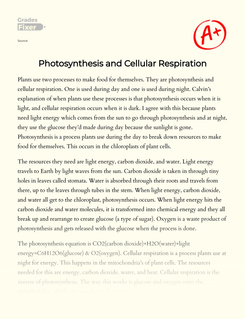 Photosynthesis and Cellular Respiration Essay