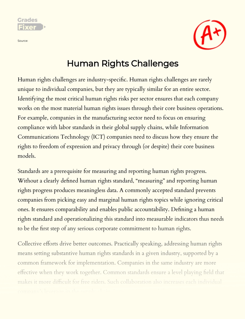 Industry-specific Human Rights Challenges Essay