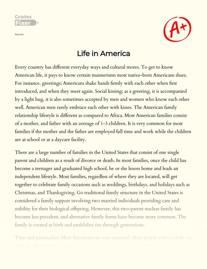 What It Means to Live in America? essay