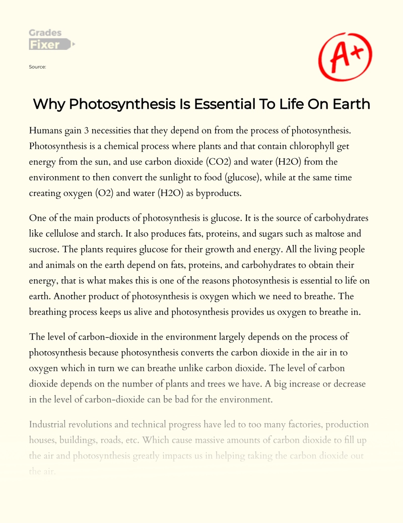 Why Photosynthesis is Essential to Life on Earth Essay