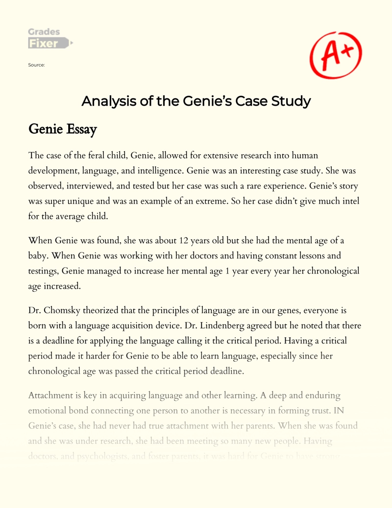 Analysis of The Genie’s Case Study essay