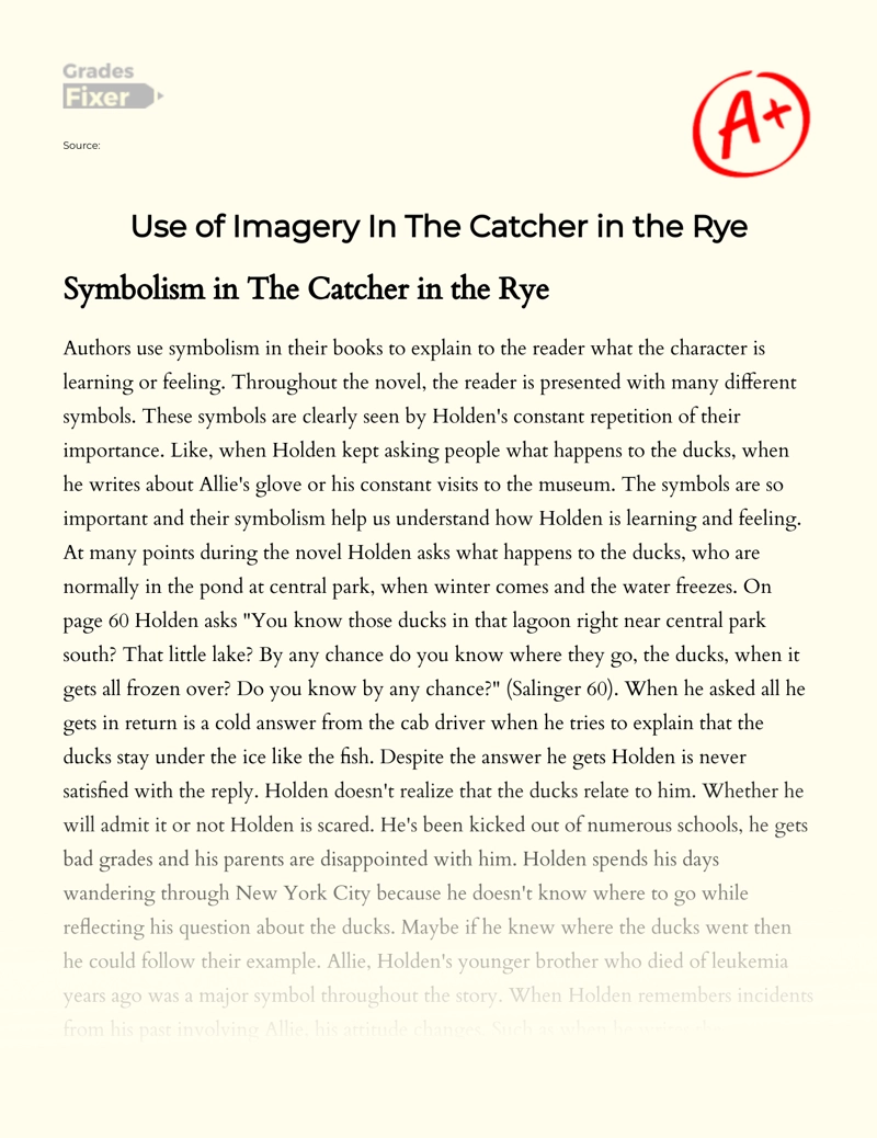 Use of Different Symbols in "The Catcher in The Rye" Essay
