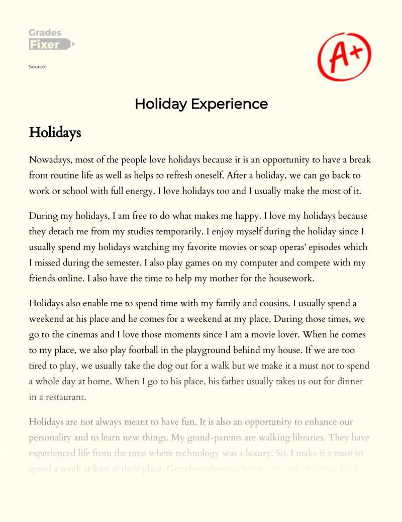 best holiday experience essay