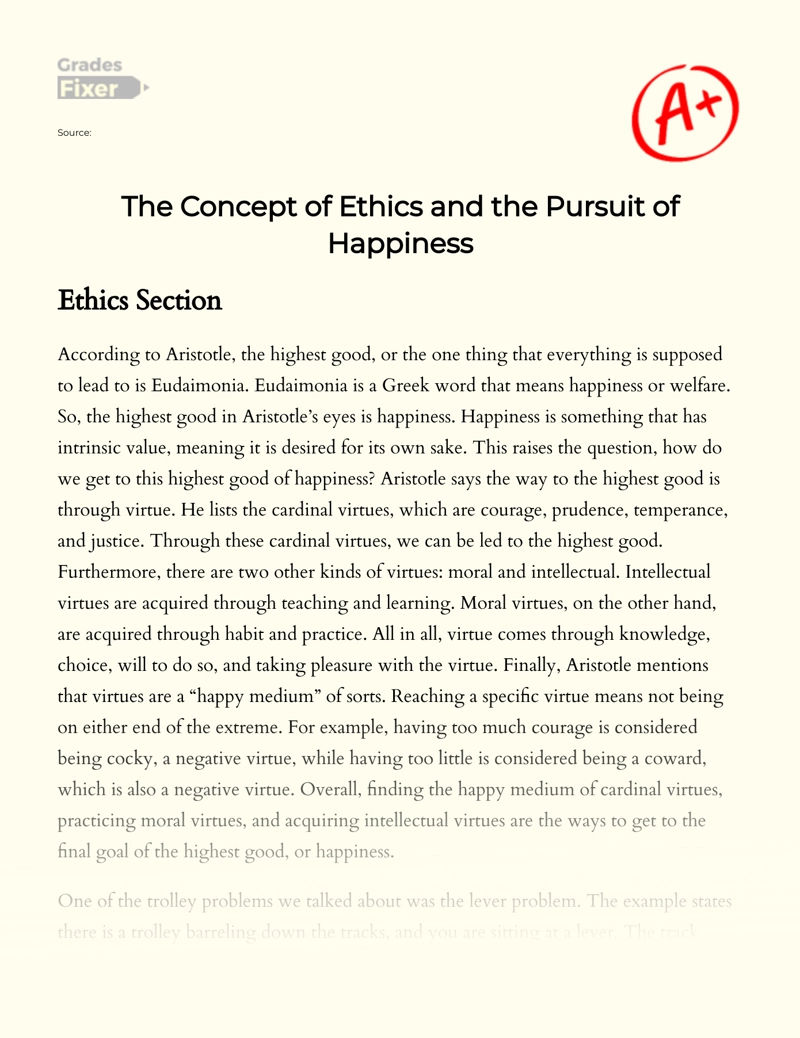 The Concept of Ethics and The Pursuit of Happiness essay