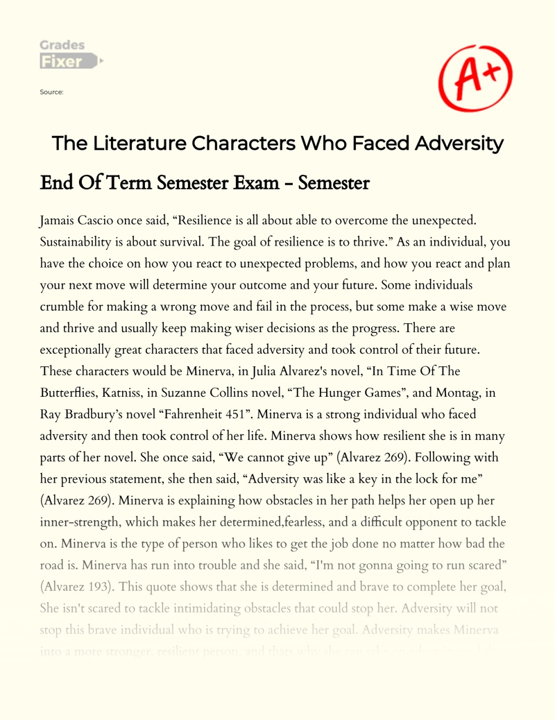 The Literature Characters Who Faced Adversity essay