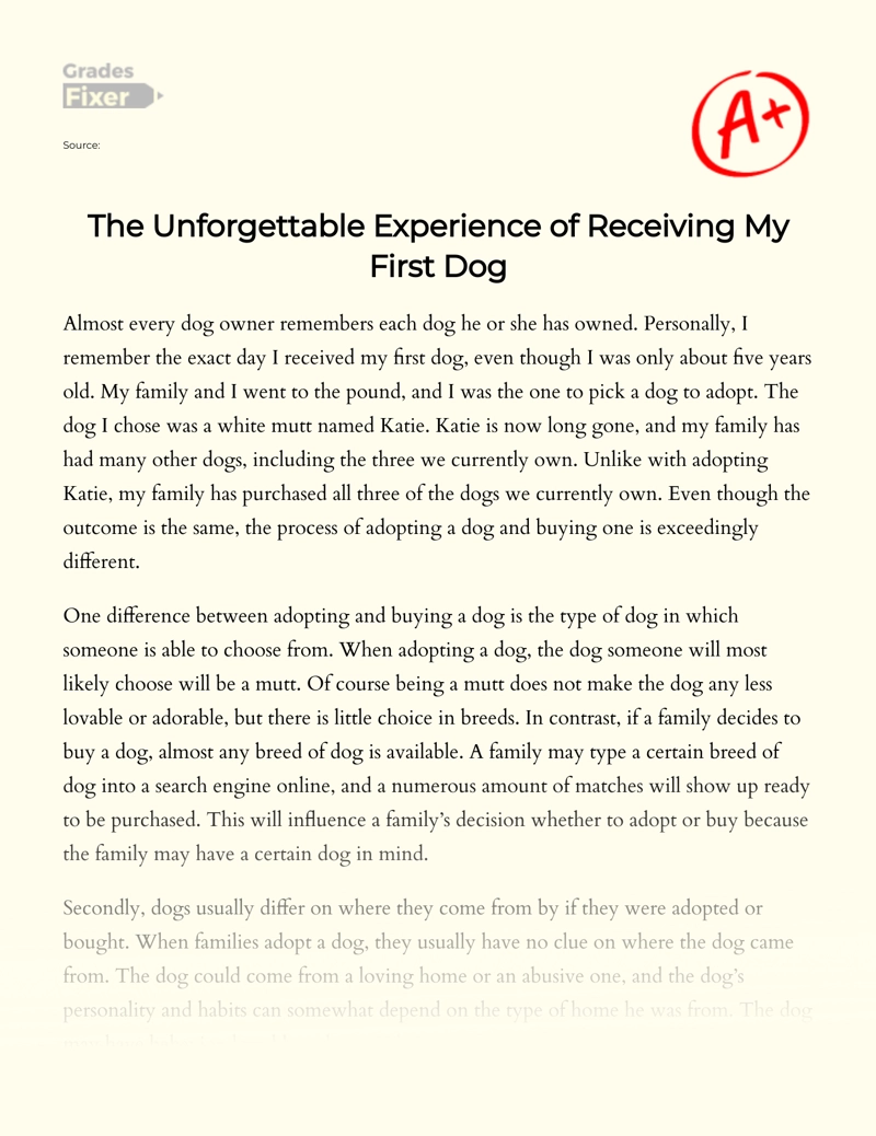 The Unforgettable Experience of Receiving My First Dog essay