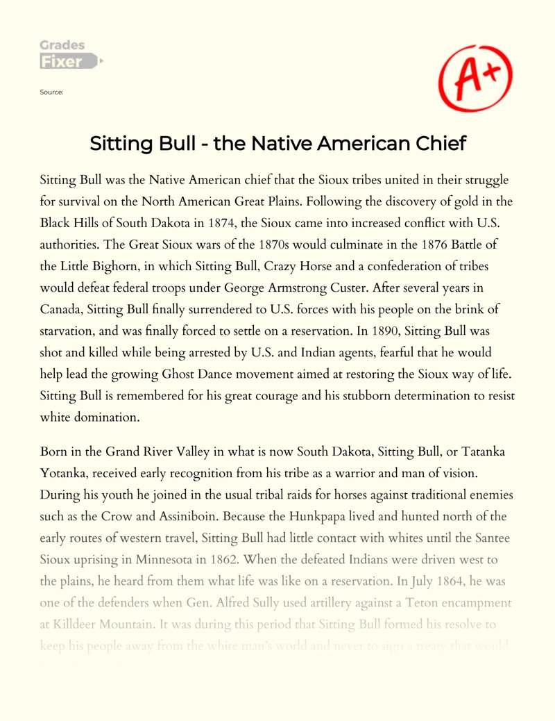 Sitting Bull - The Native American Chief Essay