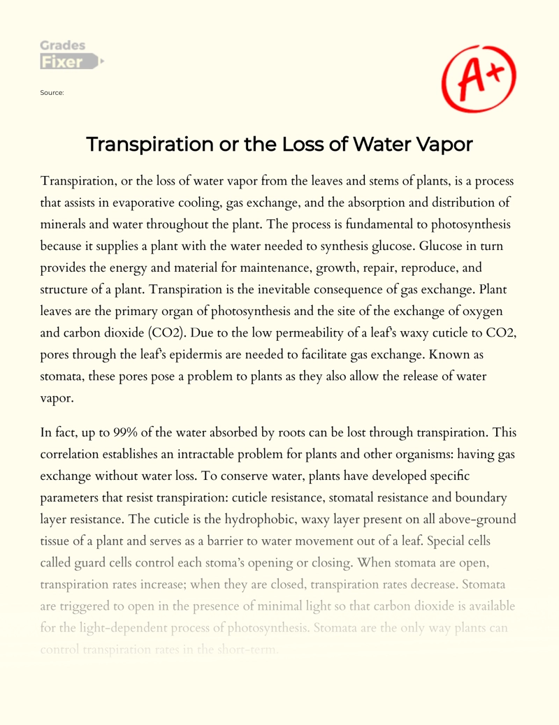 Transpiration Or The Loss of Water Vapor Essay