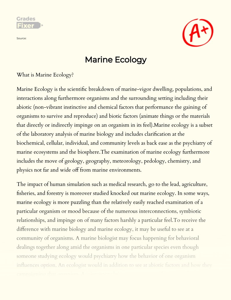 Marine Ecology Essay