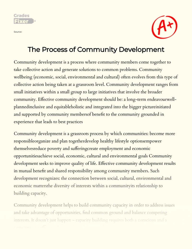 The Process of Community Development Essay