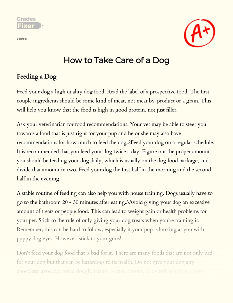How to Take Care of a Dog: [Essay Example], 2165 words GradesFixer