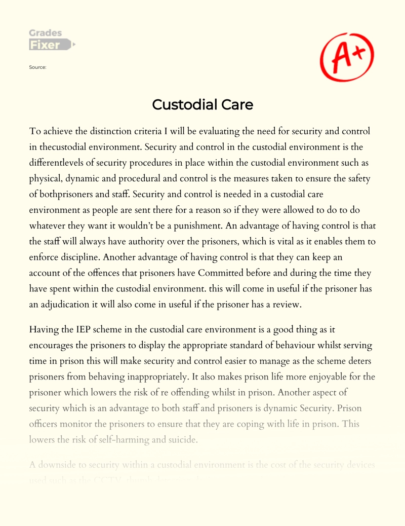 Custodial Care essay
