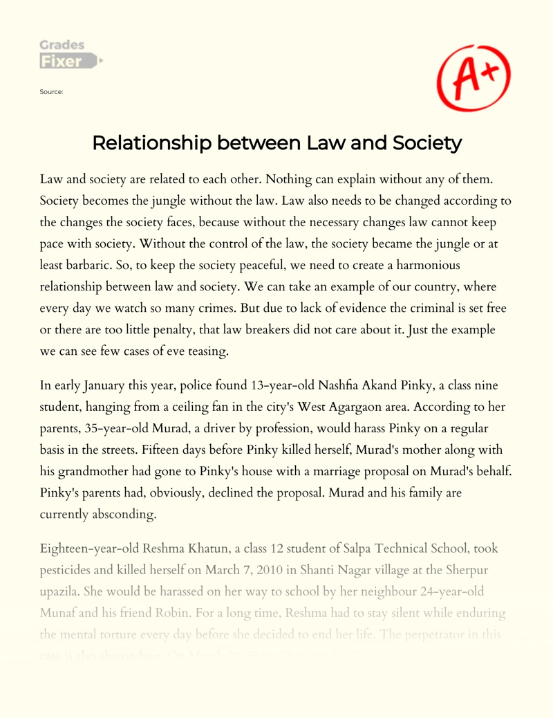 Understanding The Relationship Between Law and Society Essay