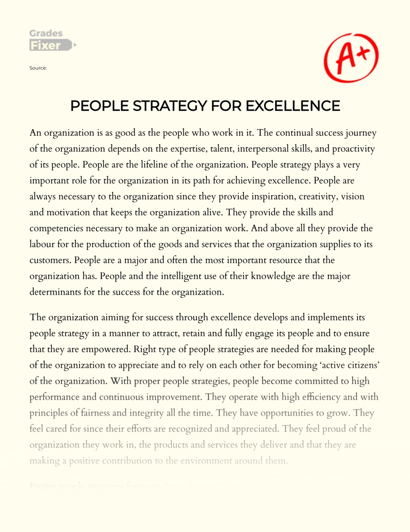An Important Role of People Strategy in The Organization Essay