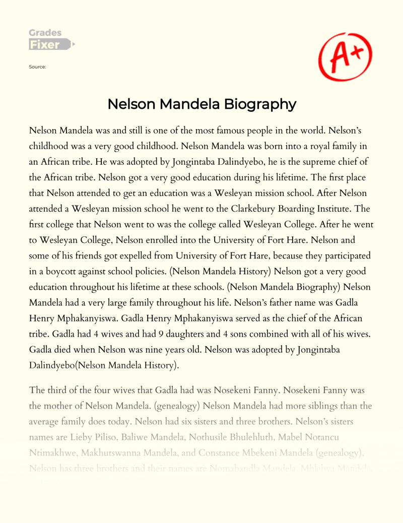 Nelson Mandela  Biography Essay
