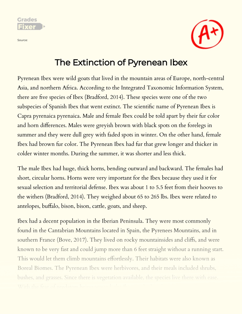 The Extinction of Pyrenean Ibex Essay