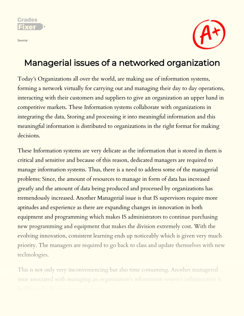Managerial Issues of a Networked Organization essay