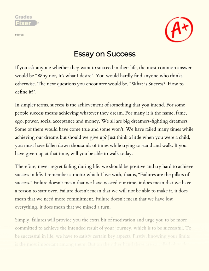 plan for success essay