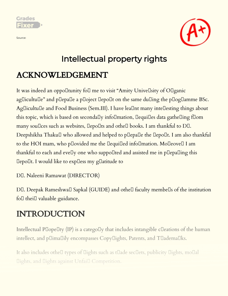 Intellectual Property Rights Essay