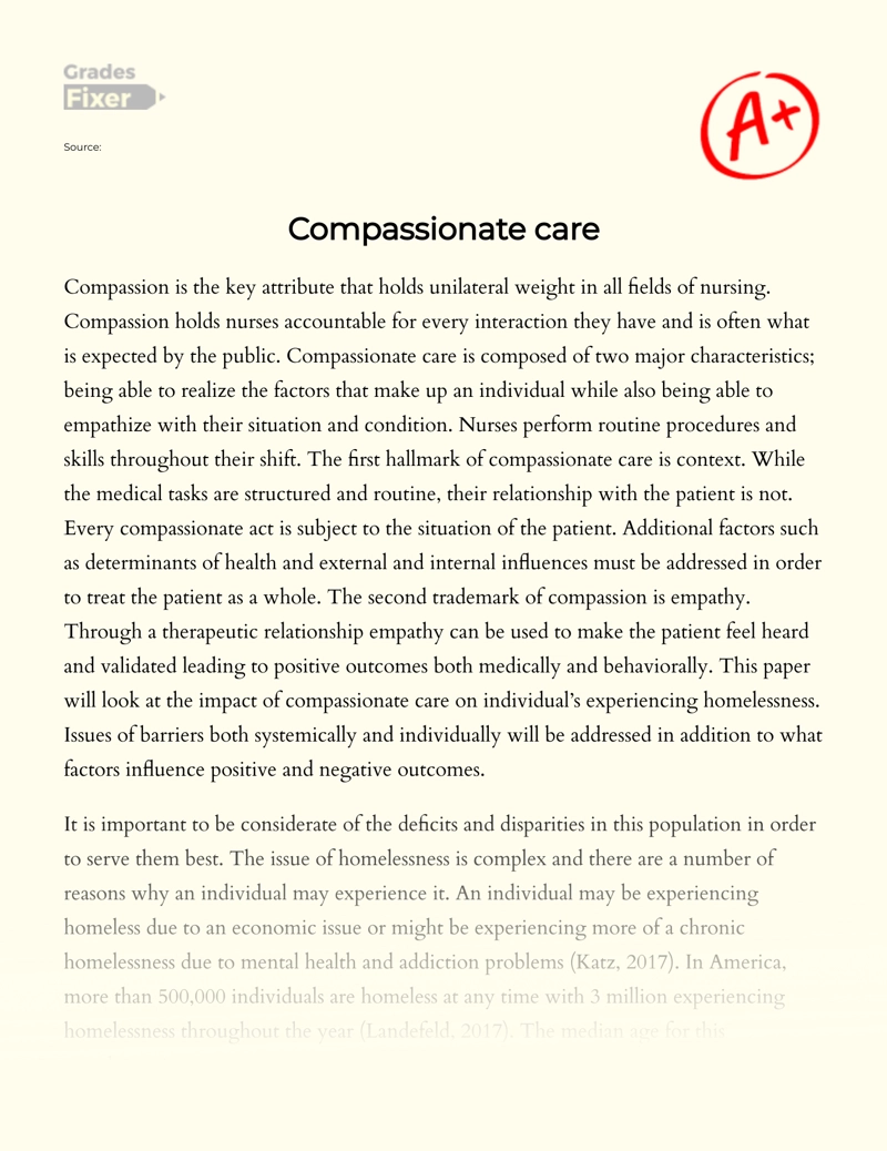 Compassionate Care for Homeless Individuals Essay