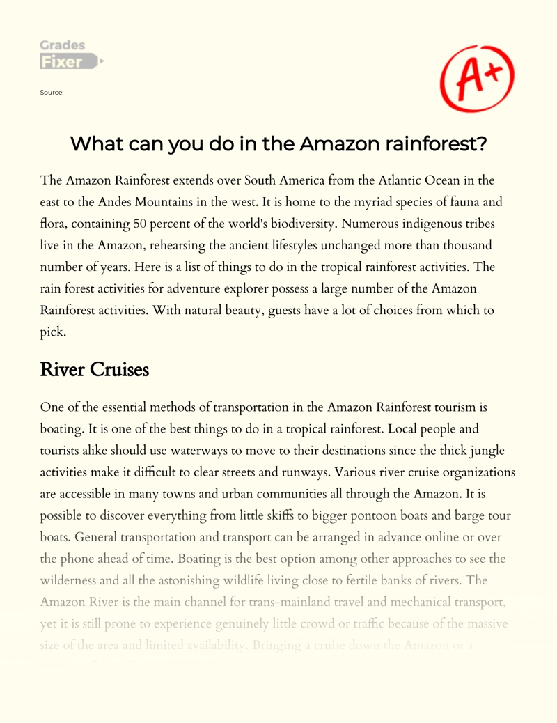 What Can You Do in The Amazon Rainforest Essay