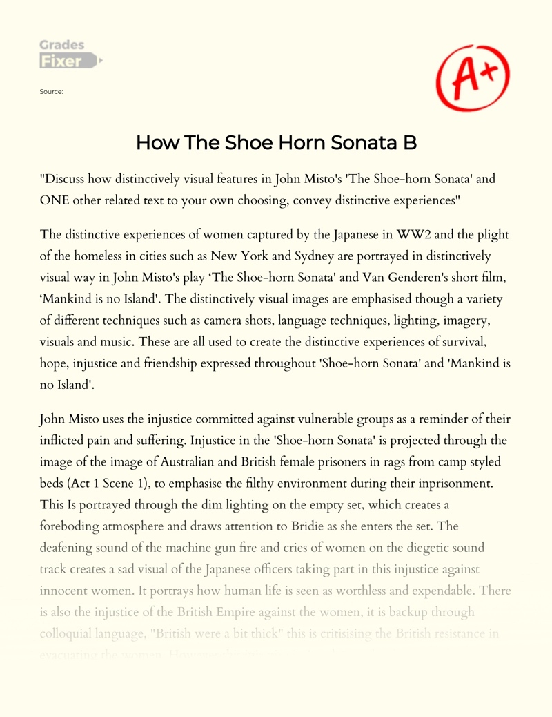 How The Shoe Horn Sonata B Essay