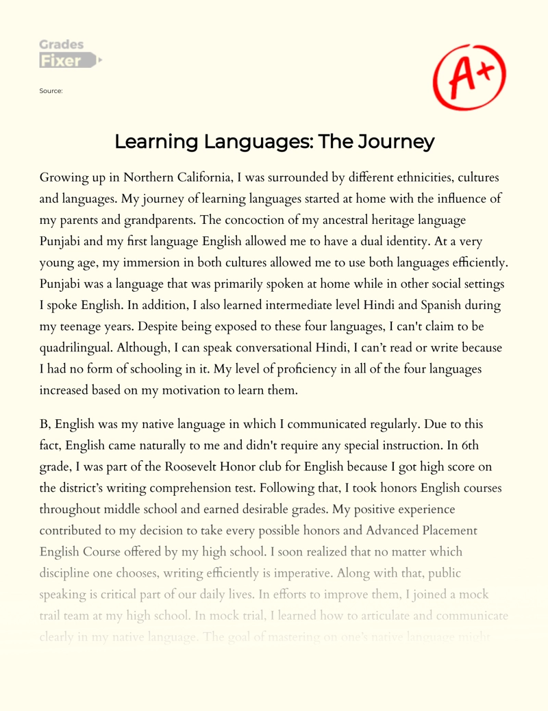 Learning Languages: The Journey essay