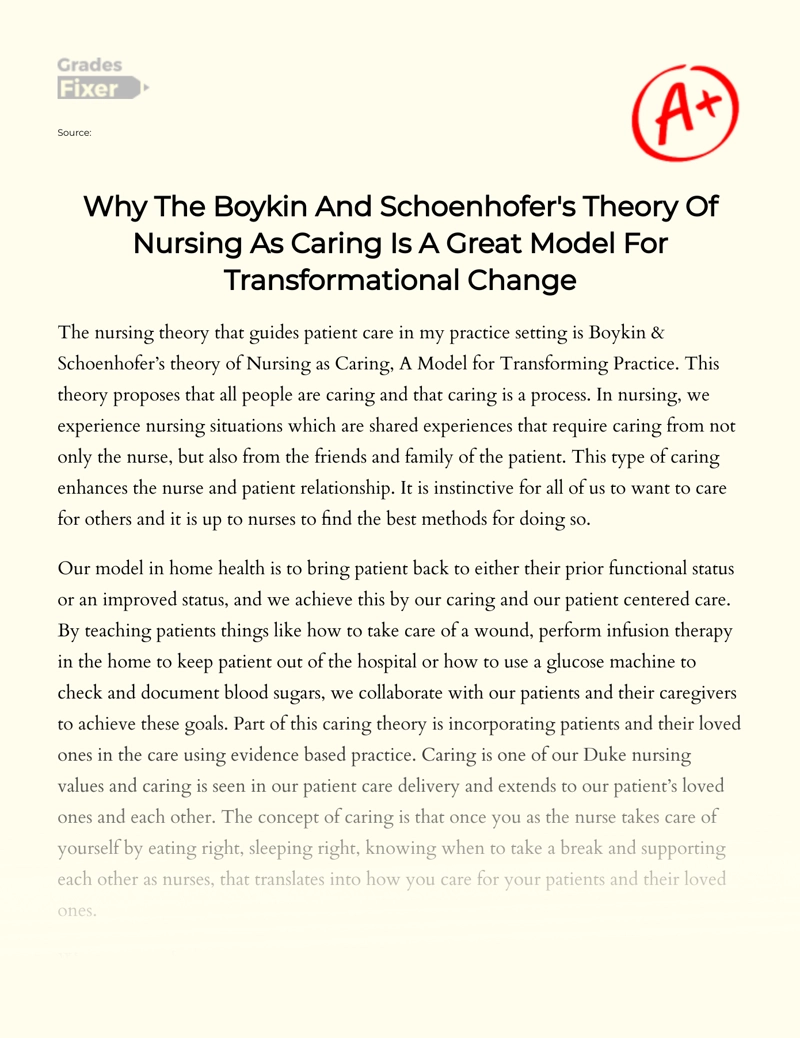 Boykin and Schoenhofer's Nursing as Caring Theory Essay