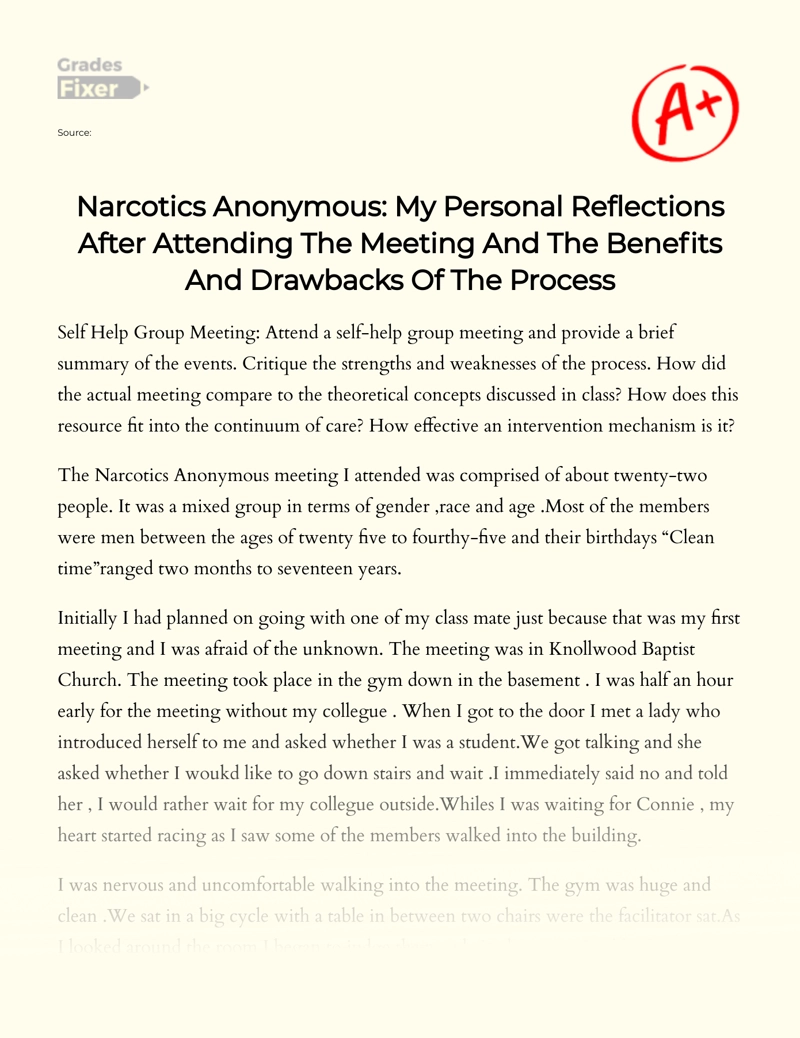 Narcotics Anonymous: My Personal Reflections after Attending The Meeting and The Benefits and Drawbacks of The Process essay