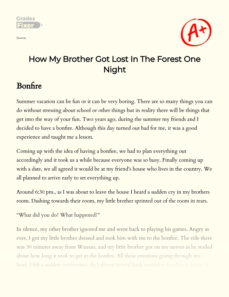 How My Brother Got Lost in The Forest One Night Essay