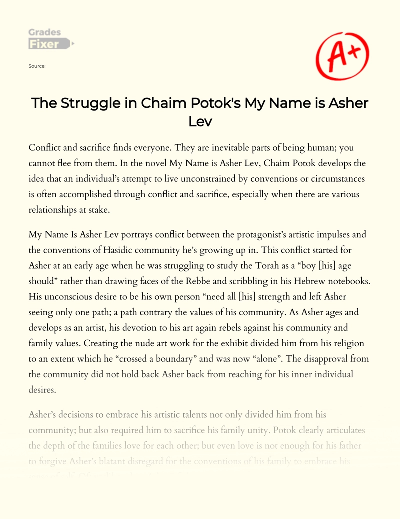 The Struggle in Chaim Potok's My Name is Asher Lev Essay