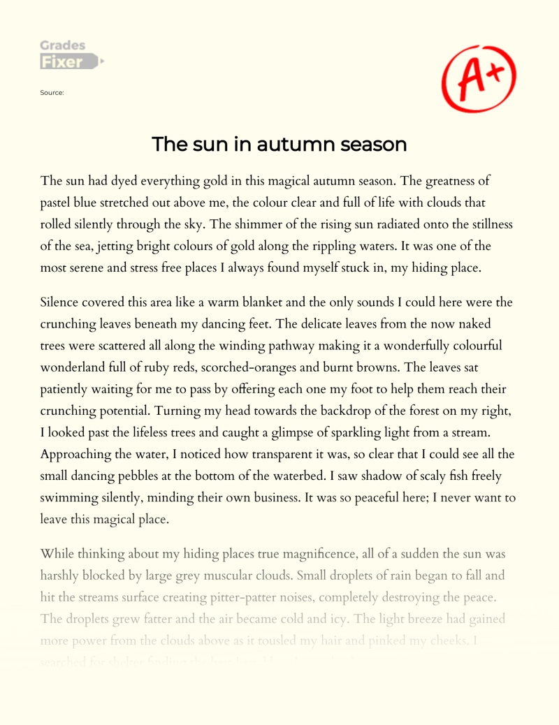 The Sun in Autumn Season essay