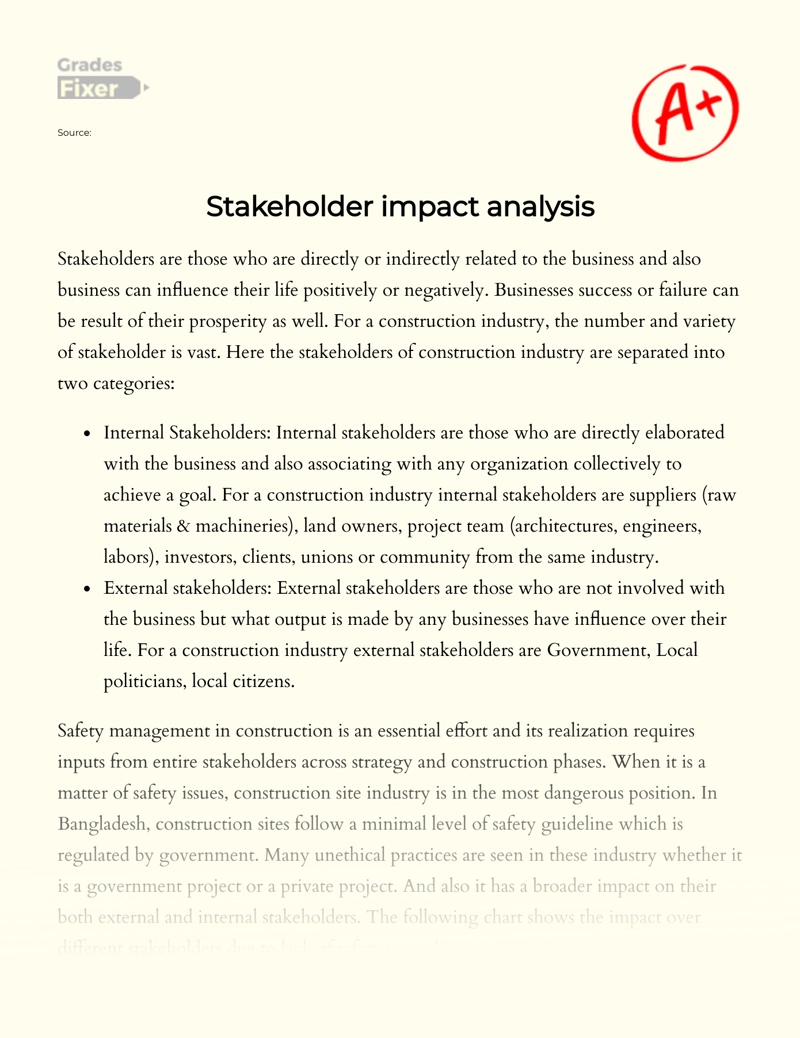 Stakeholder Impact Analysis Essay