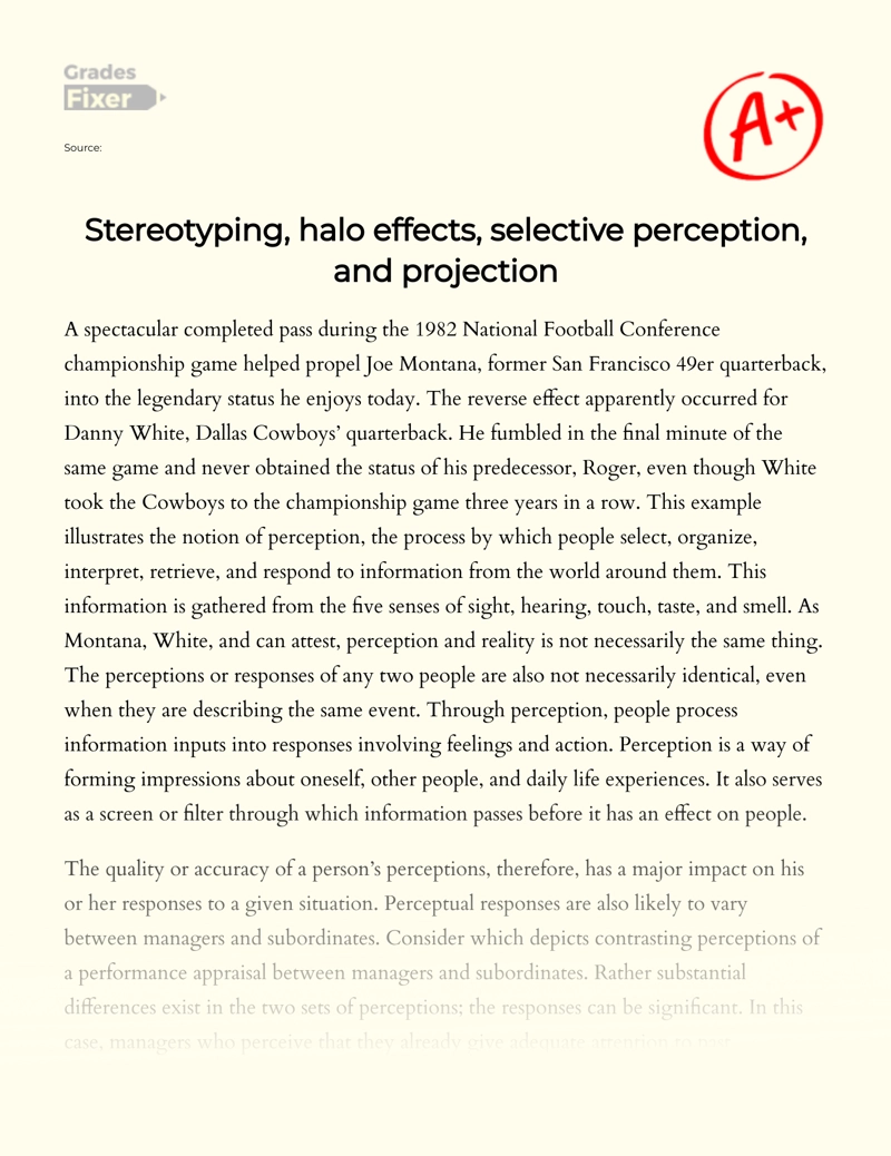Stereotyping, Halo Effects, Selective Perception, and Projection Essay