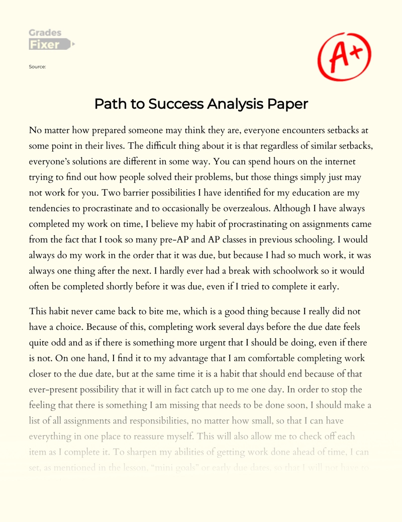 Path to Success Analysis Paper essay
