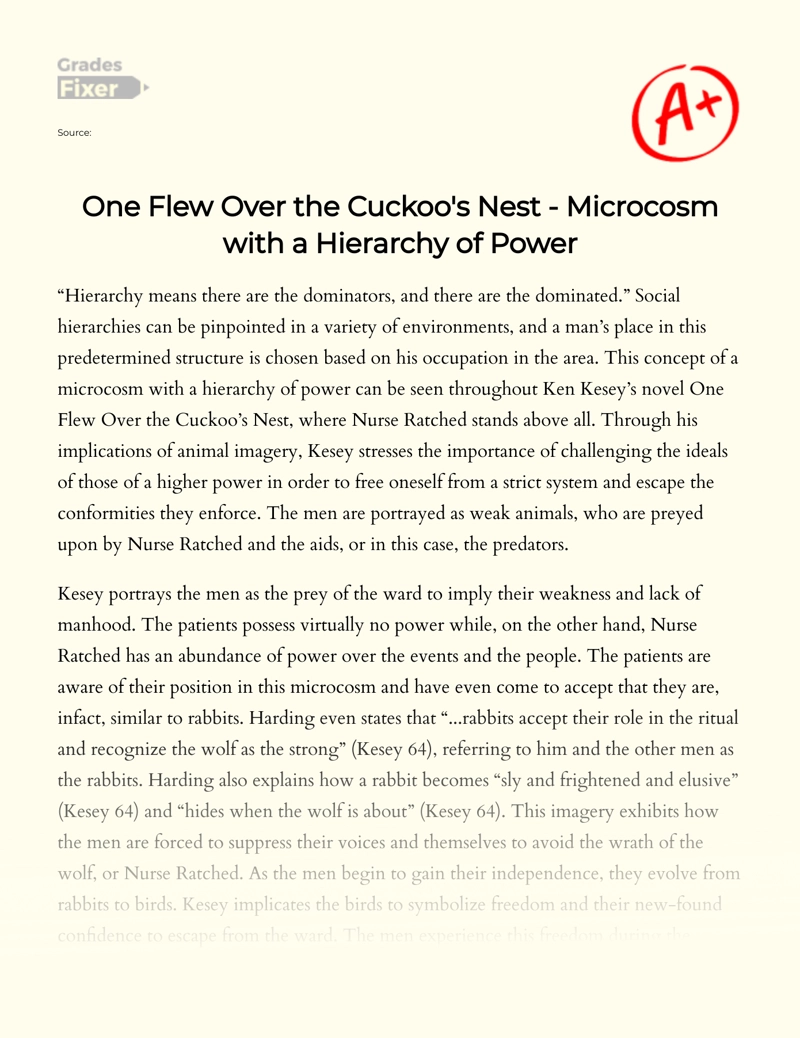 One Flew Over The Cuckoo's Nest - Microcosm with a Hierarchy of Power essay