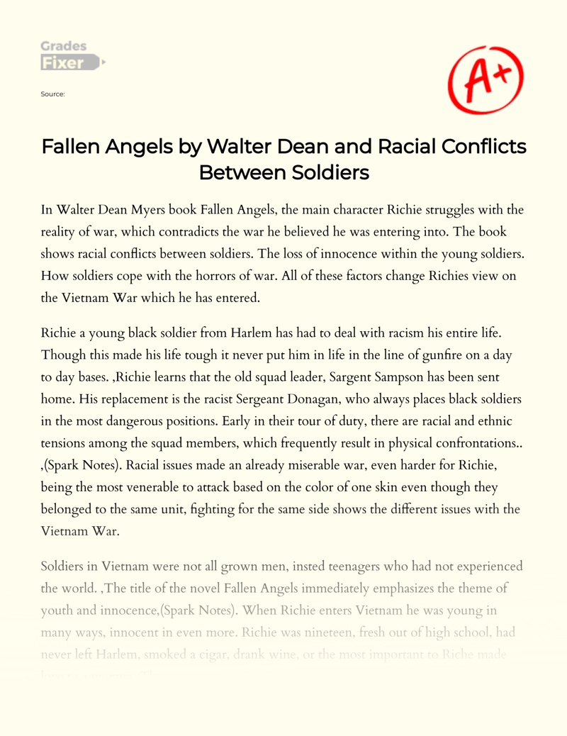 Fallen Angels by Walter Dean and Racial Conflicts Between Soldiers Essay