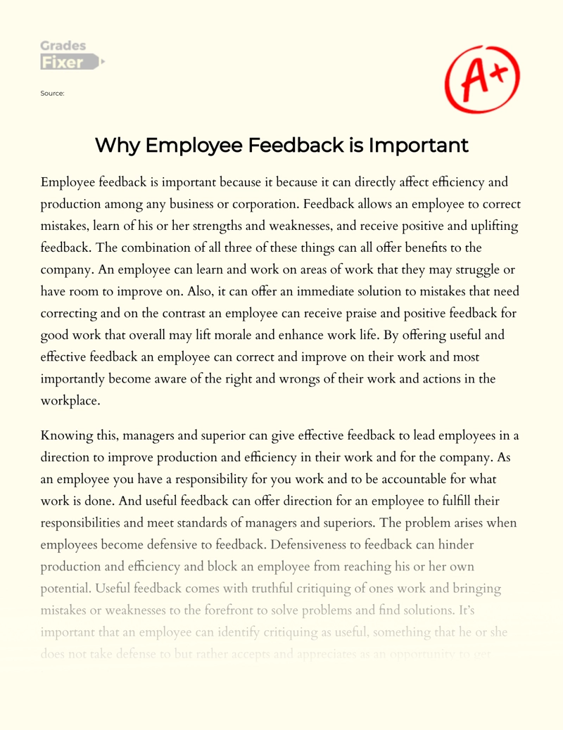 Why Employee Feedback is Important Essay