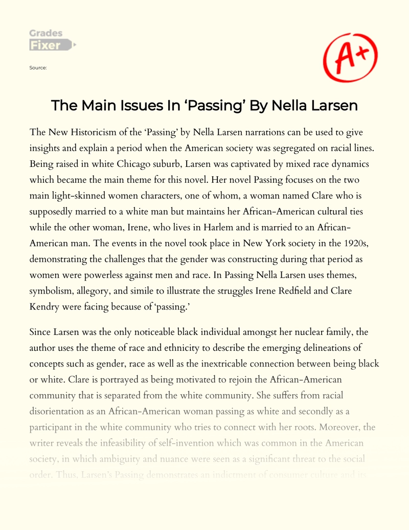 The Main Issues in ‘passing’ by Nella Larsen  essay