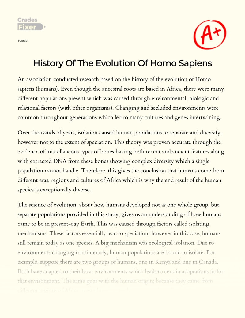 History of The Evolution of Homo Sapiens Essay