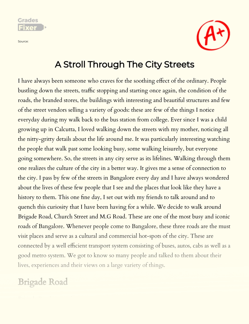 A Stroll Through The City Streets essay