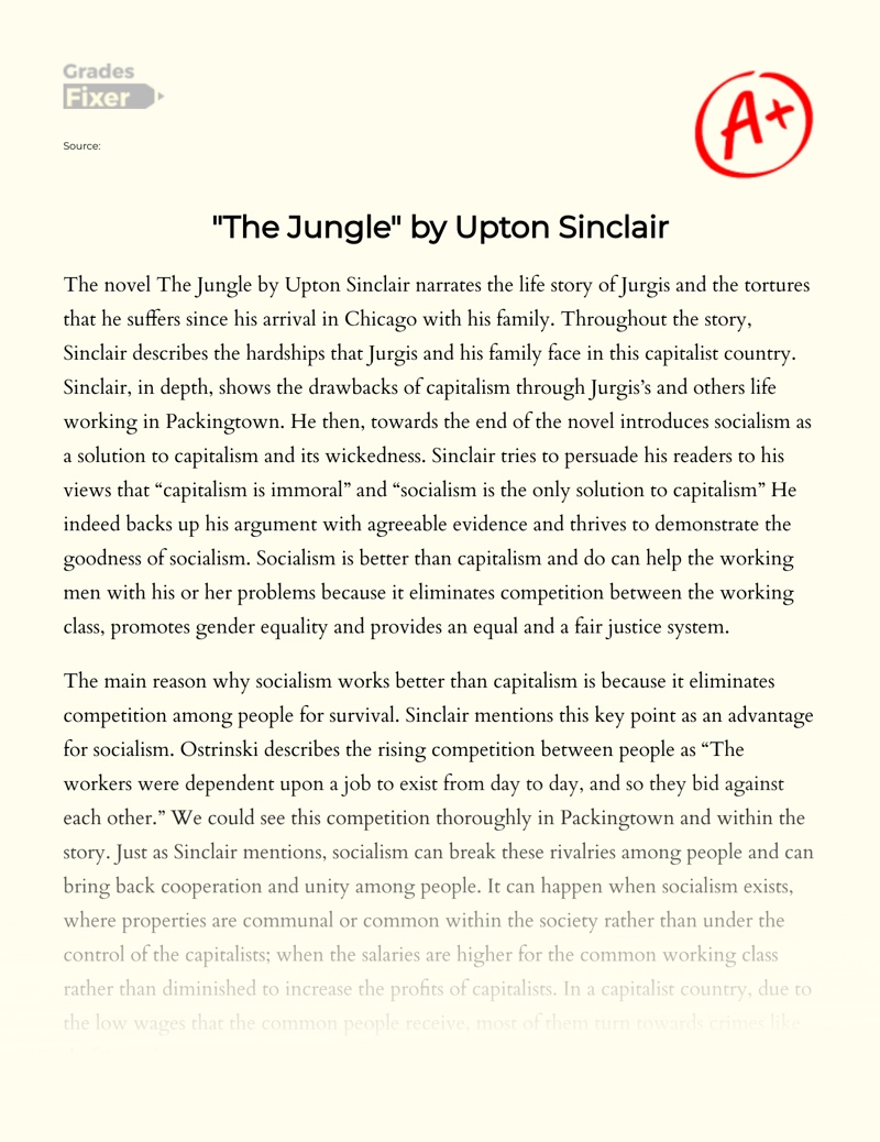 "The Jungle" by Upton Sinclair essay