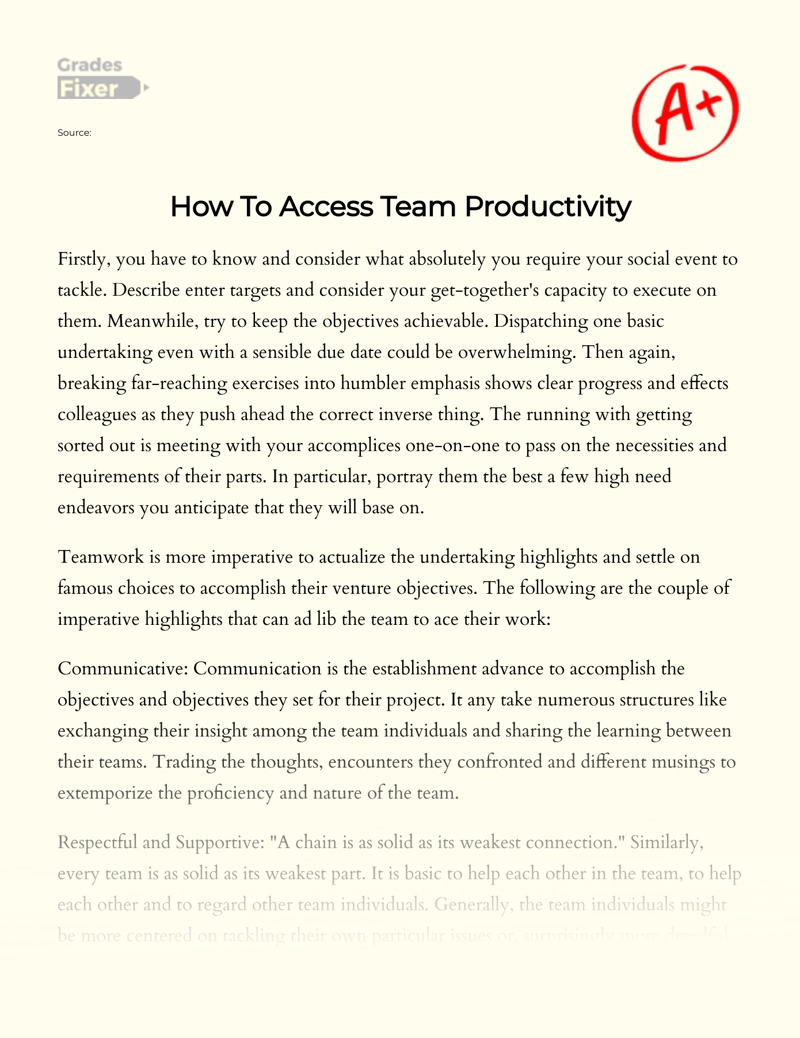 Discussion of The Importance of Team Productivity Essay