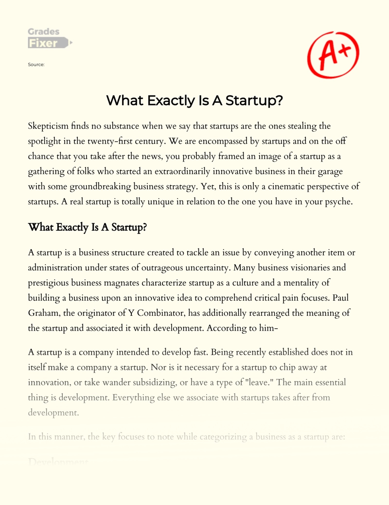 startup essays