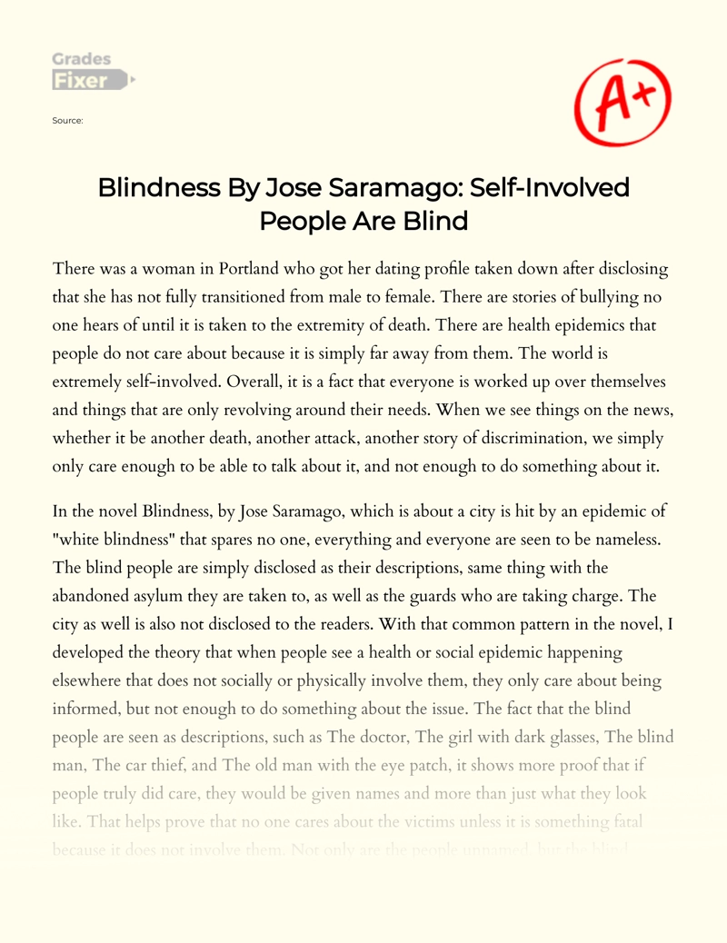 Blindness by Jose Saramago: Self-involved People Are Blind essay