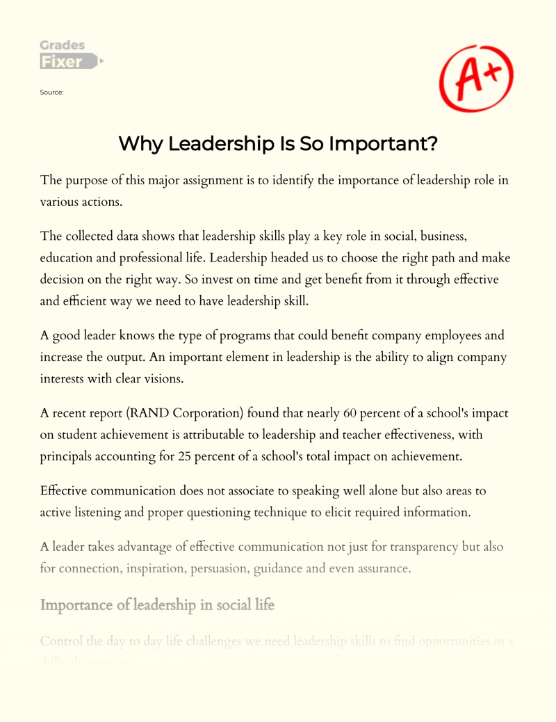 The Importance of Leadership Role in Various Actions essay