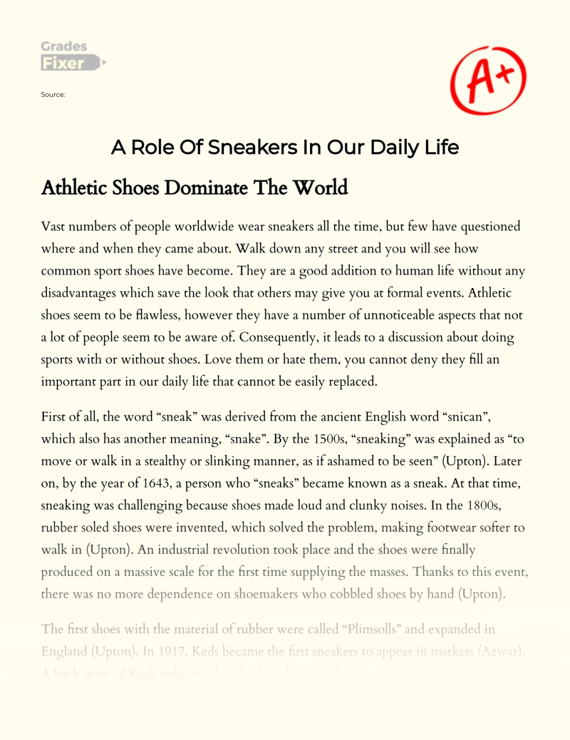 A Role of Sneakers in Our Daily Life essay