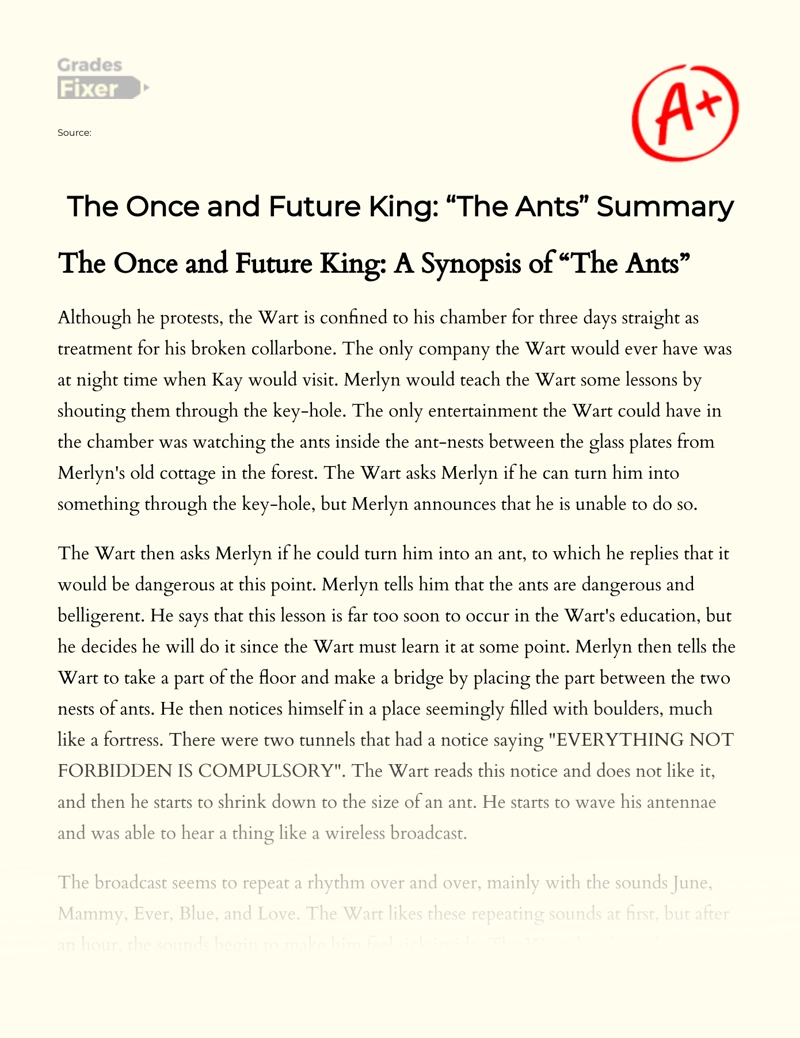 The once and Future King: "The Ants" Summary Essay
