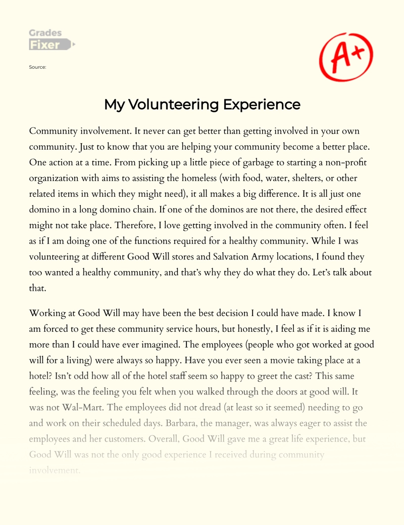 volunteer work experience essay